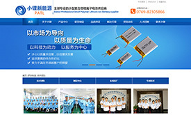 东莞网站建设-东莞网络推广