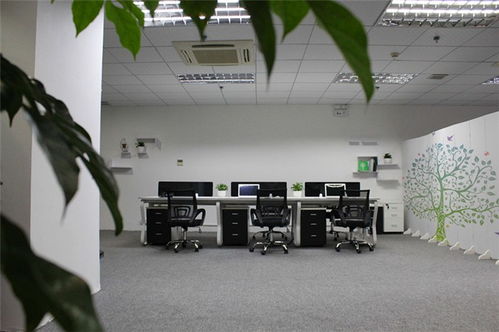 网页设计 网页美工设计 百创互联 优质商家