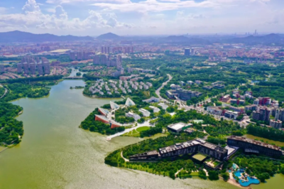 东莞市林业局网站