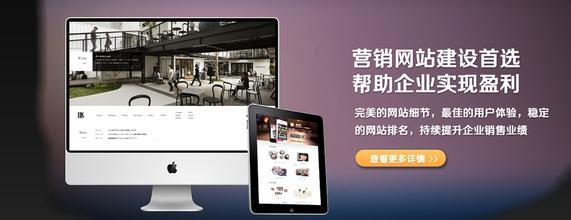 东莞营销型网站为什么要选择专业的网络公司来做