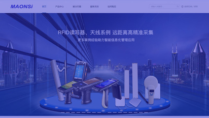 东莞网站建设优秀公司