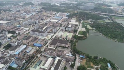 东莞市自然资源局网站